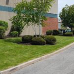 ECIS-commercial-landscaping-4x3